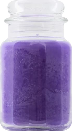 Yankee Candle Lilac Blossoms Scented, Classic 22oz Large Jar Single Wick Candle, Over 110 Hours of Burn Time, Perfect for Gifting, Gatherings and Seasonal Decorations