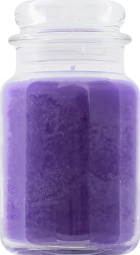 Yankee Candle Lilac Blossoms Scented, Classic 22oz Large Jar Single Wick Candle, Over 110 Hours of Burn Time, Perfect for Gifting, Gatherings and Seasonal Decorations