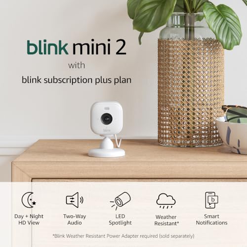Blink Mini 2 (Newest Model) — Home Security & Pet Camera(s) with HD video, color night view, motion detection, two-way audio, and built-in spotlight — 1 camera (White)