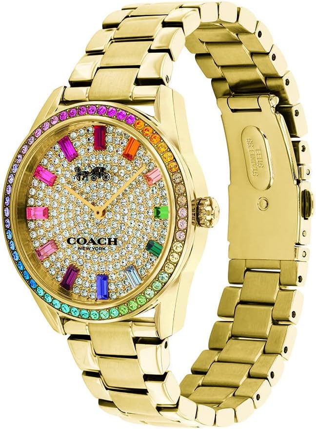 Coach Preston Women's Watch | Touch of Playfulness | Timeless Elegance for Your Everyday Wear (Model 14503657)
