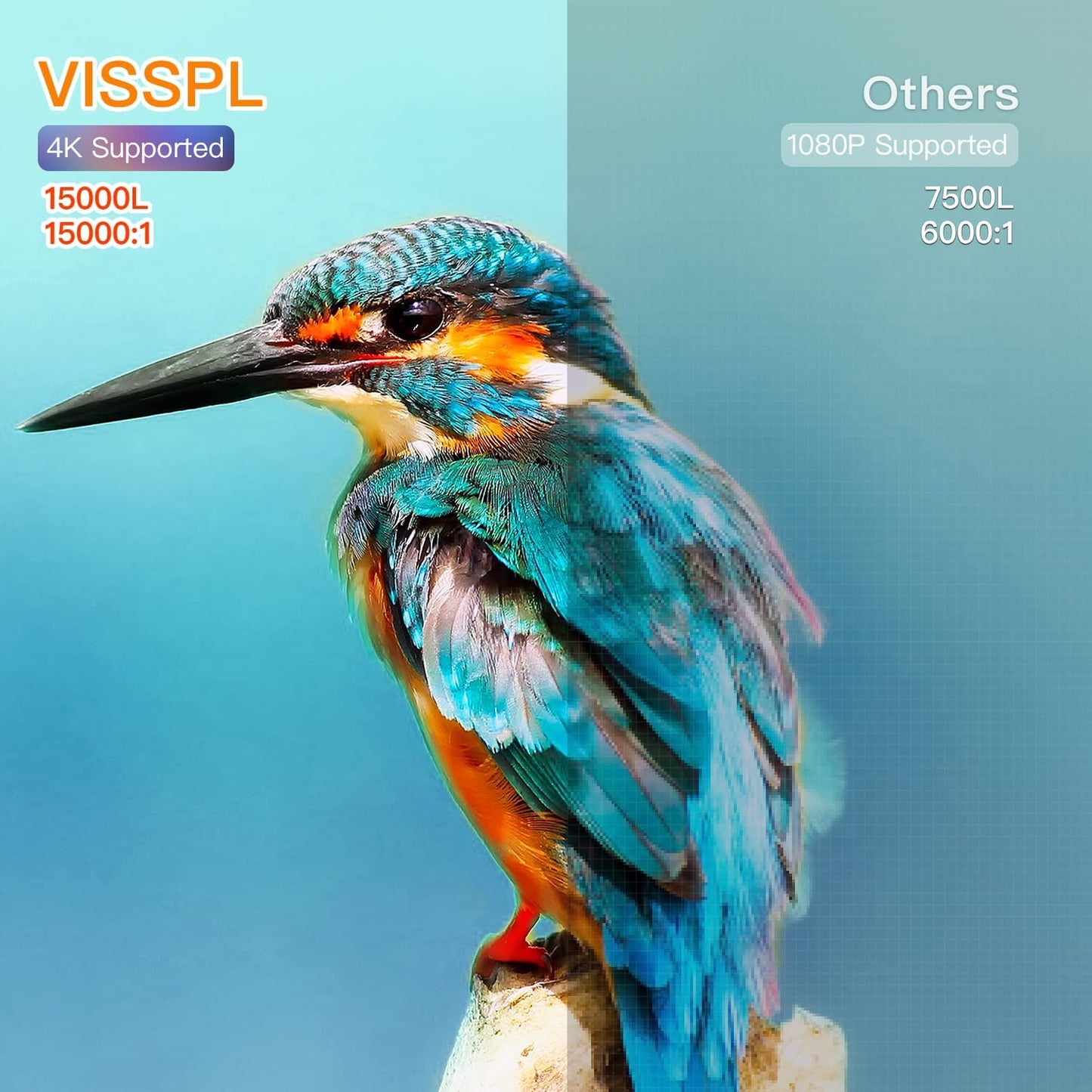 Mini Projector, VISSPL Full HD 1080P Video Projector, Portable Outdoor Projector with Tripod, Kids Gift, Home Theater Movie Phone Projector Compatible with Android/iOS/Windows/TV Stick/HDMI/USB