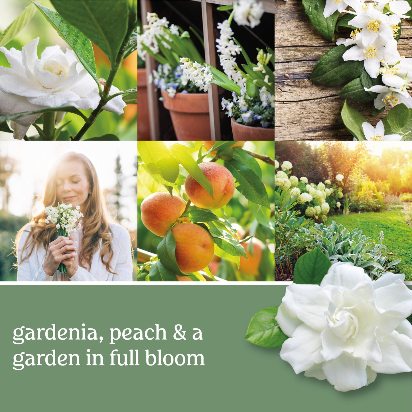 Yankee Candle Lilac Blossoms Scented, Classic 22oz Large Jar Single Wick Candle, Over 110 Hours of Burn Time, Perfect for Gifting, Gatherings and Seasonal Decorations