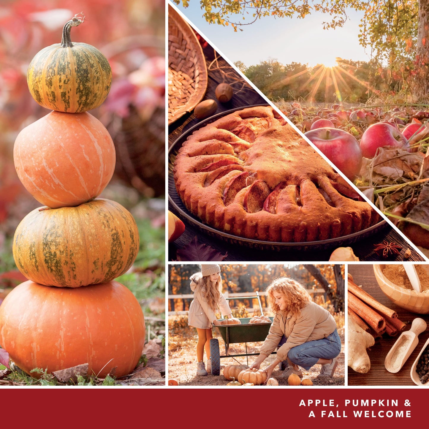 Yankee Candle Home Sweet Home Scented, Classic 22oz Large Jar Single Wick Candle, Over 110 Hours of Burn Time, Ideal for Fall, Outdoors, Home and Christmas Decorations