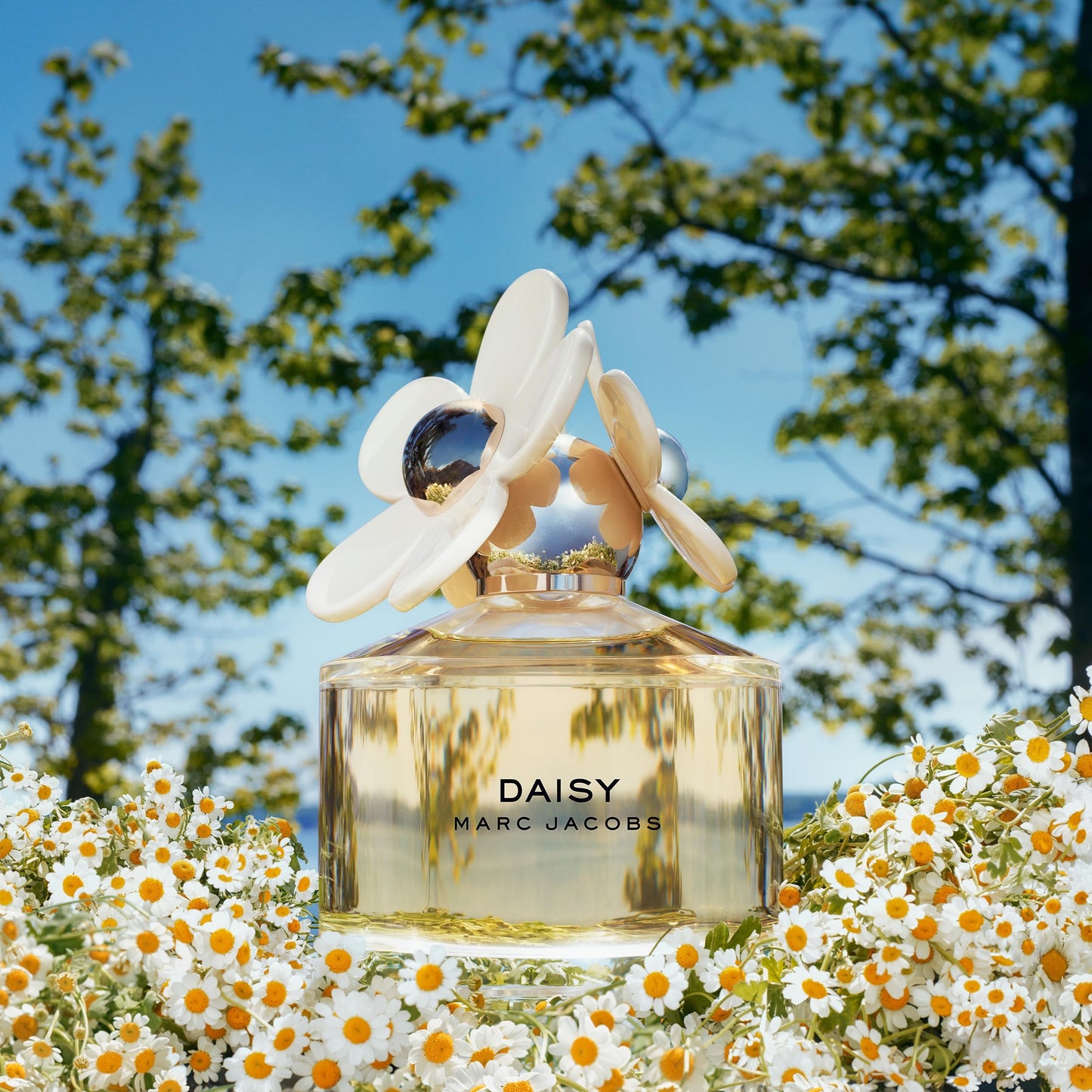 Marc Jacobs Daisy Eau de Toilette – Radiant Floral Women's Perfume – With Notes of Wild Berries, White Violet, Jasmine & Sandalwood